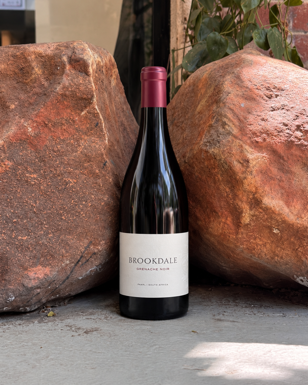Brookdale Grenache Noir 2025