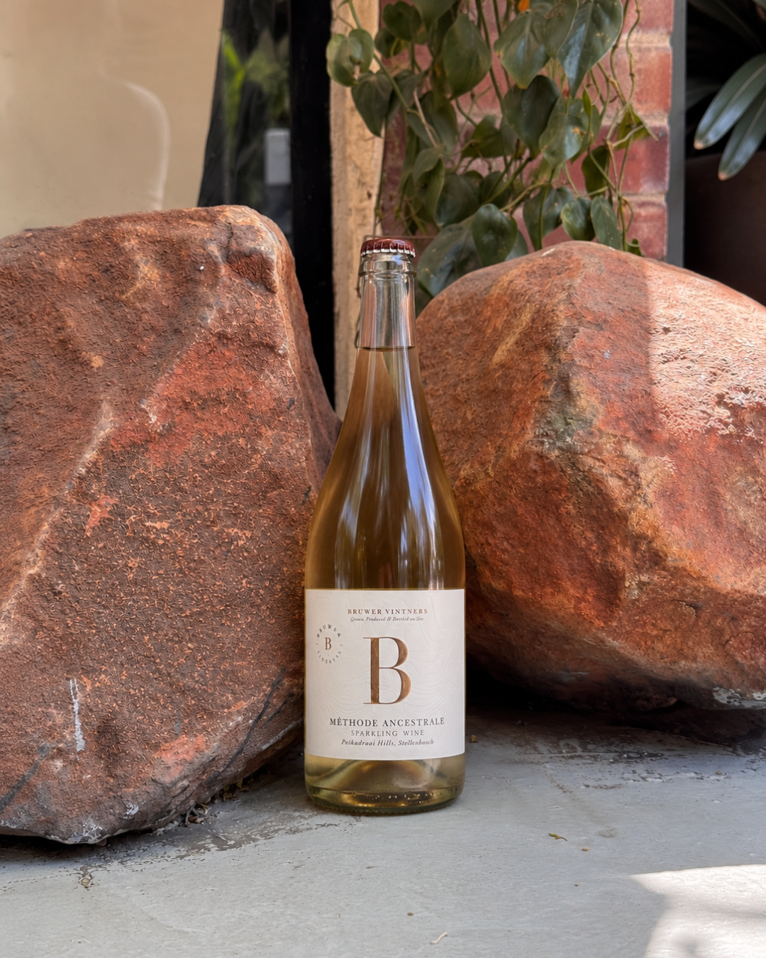 B Vintners Methode Ancestral 2025
