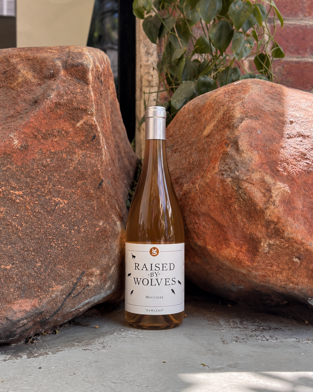 'Raised by Wolves Vibes' Mourvèdre Rosé 2025