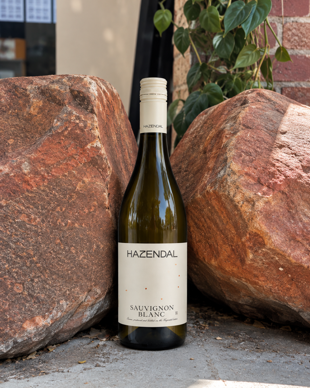 Hazendal Bottelary Hills Sauvignon Blanc