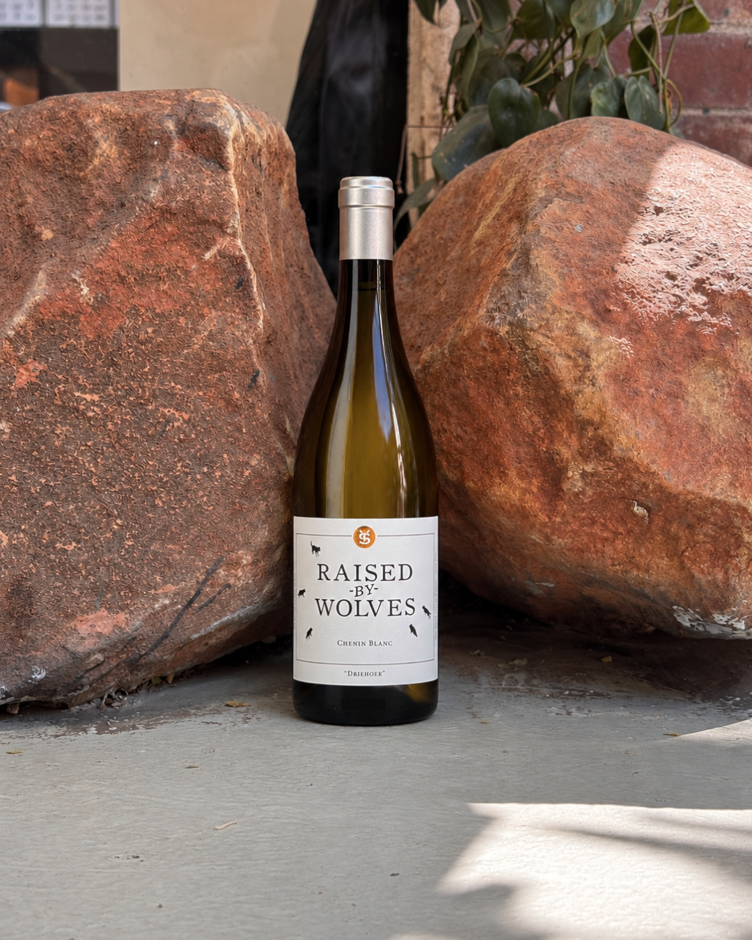 'Raised by Wolves Swembad' Chenin Blanc 2024