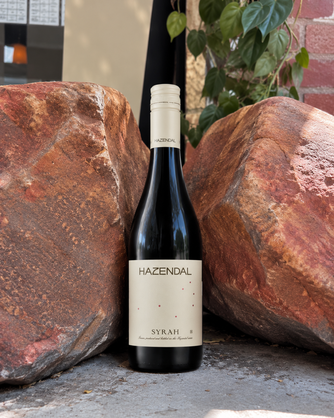 Hazendal Bottelary Hills Syrah 2025