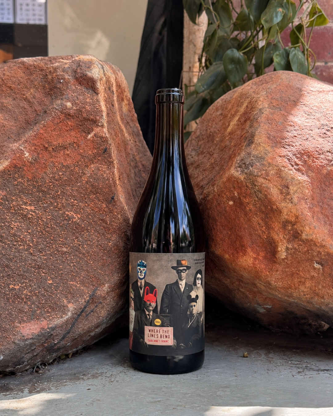 Where the Lines Bend Cabernet Franc 2025