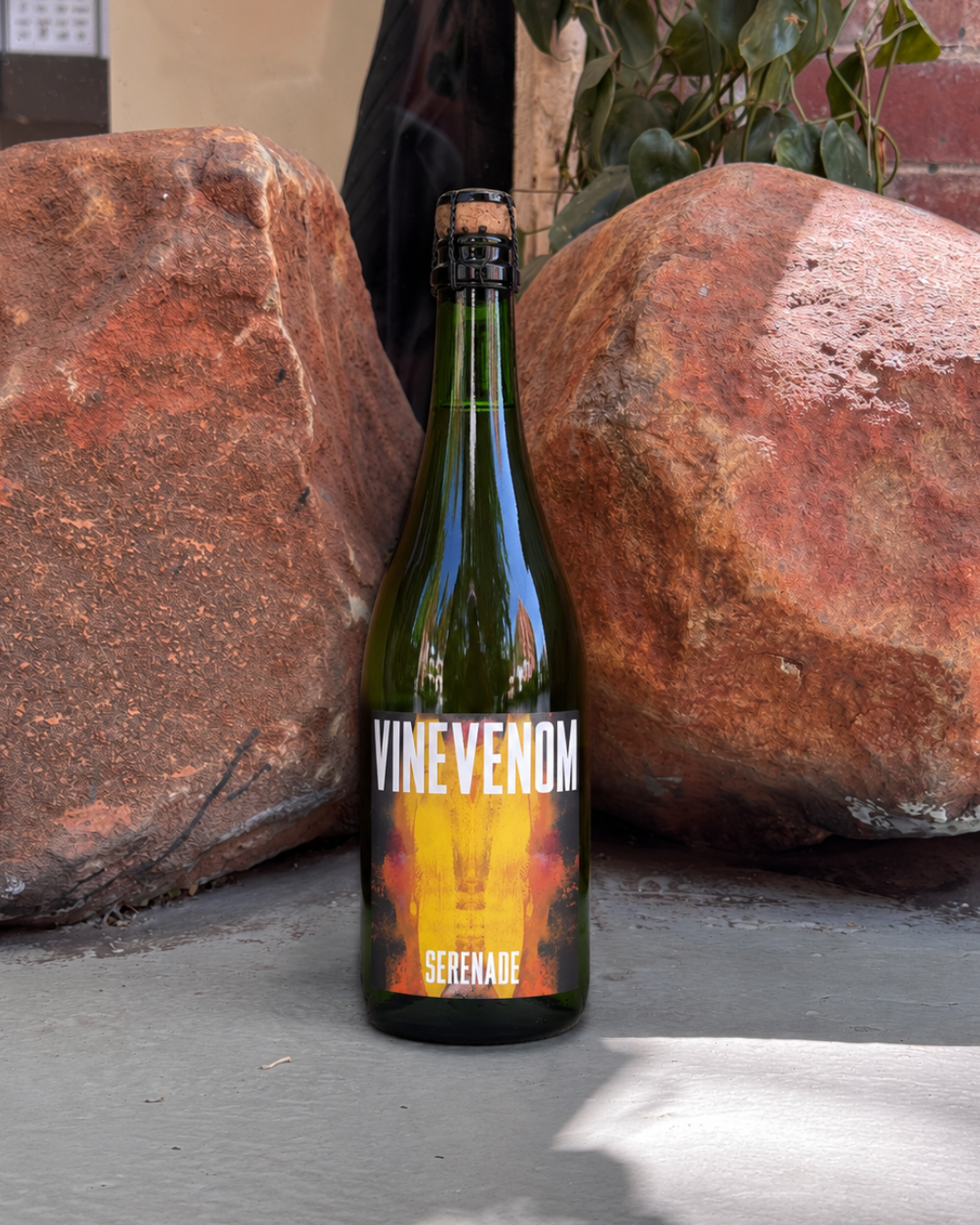 VINEVENOM Serenade Cap Classique