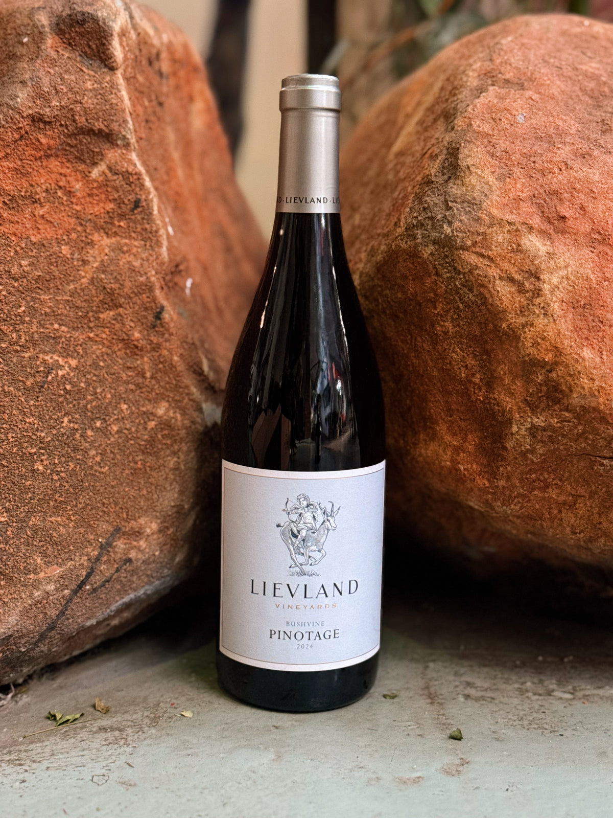 Lievland Bushvine Pinotage 2025
