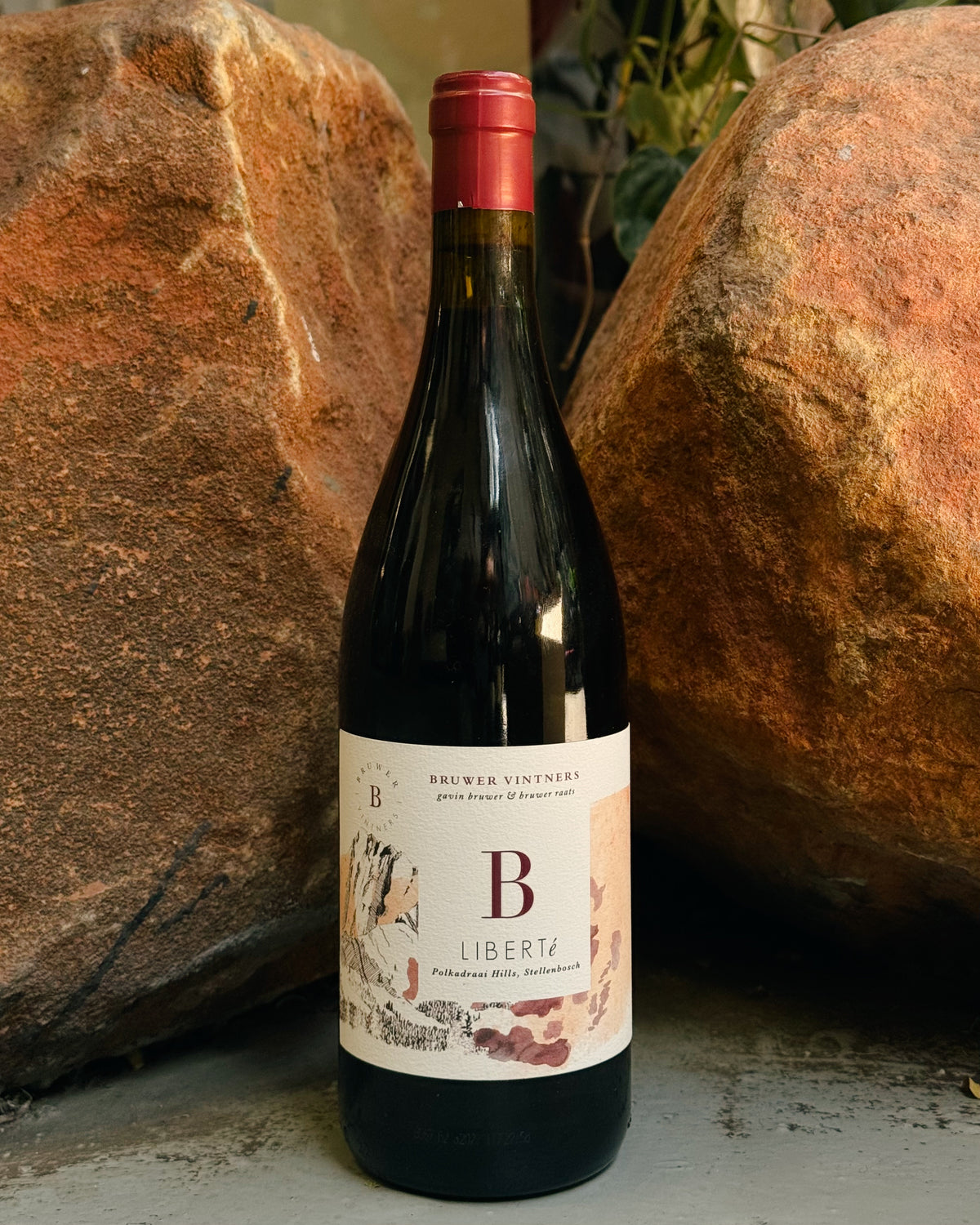 B Vintners 'Liberte' Pinotage 2023