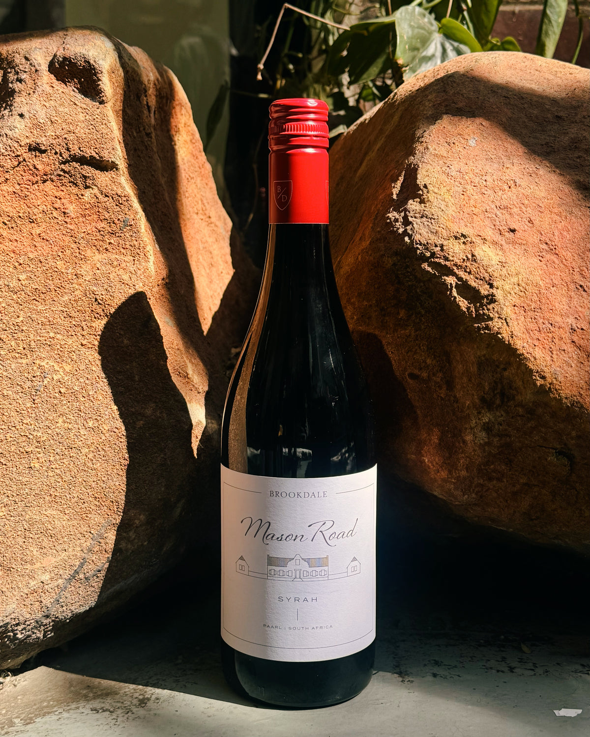 Brookdale Mason Road Syrah 2024
