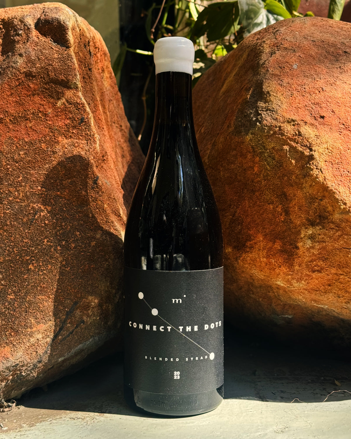 Connect the Dots Syrah 2023