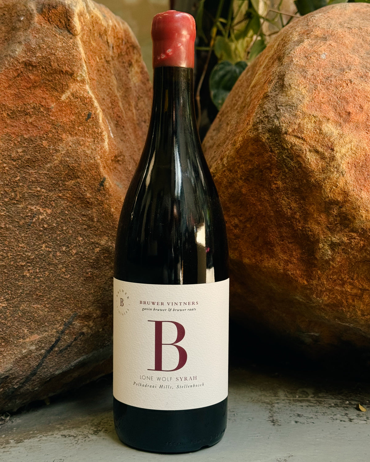 B Vintners Lone Wolf Syrah 2023