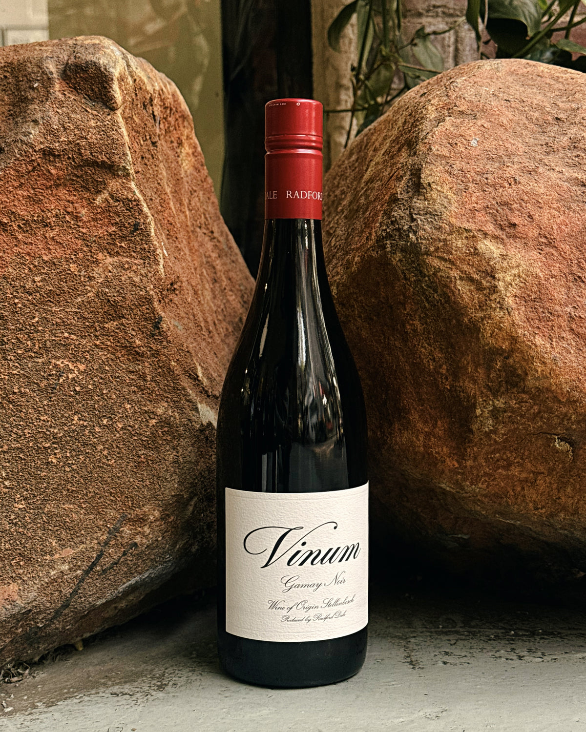 Radford Dale Vinum Gamay 2025