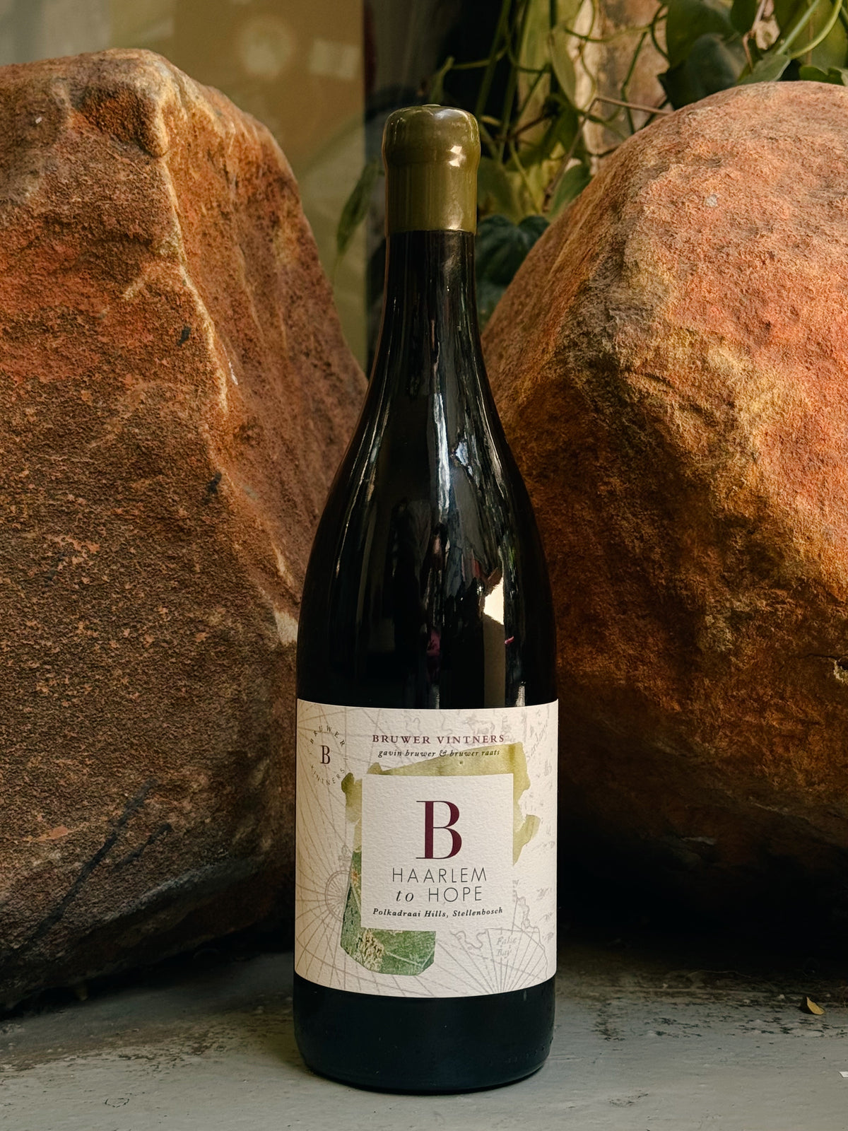 B Vintners Haarlem to Hope 2023