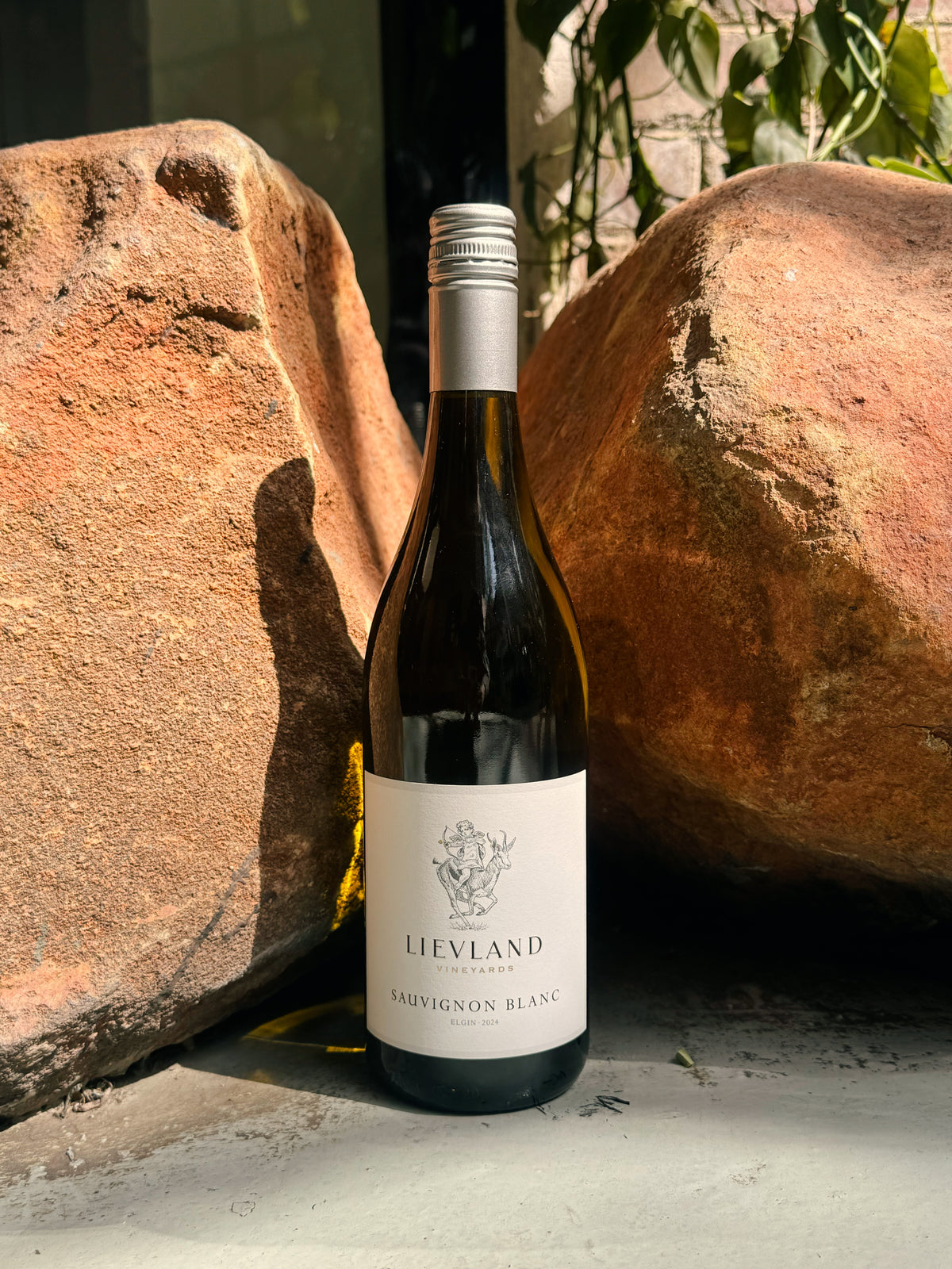 Lievland Sauvignon Blanc 2024
