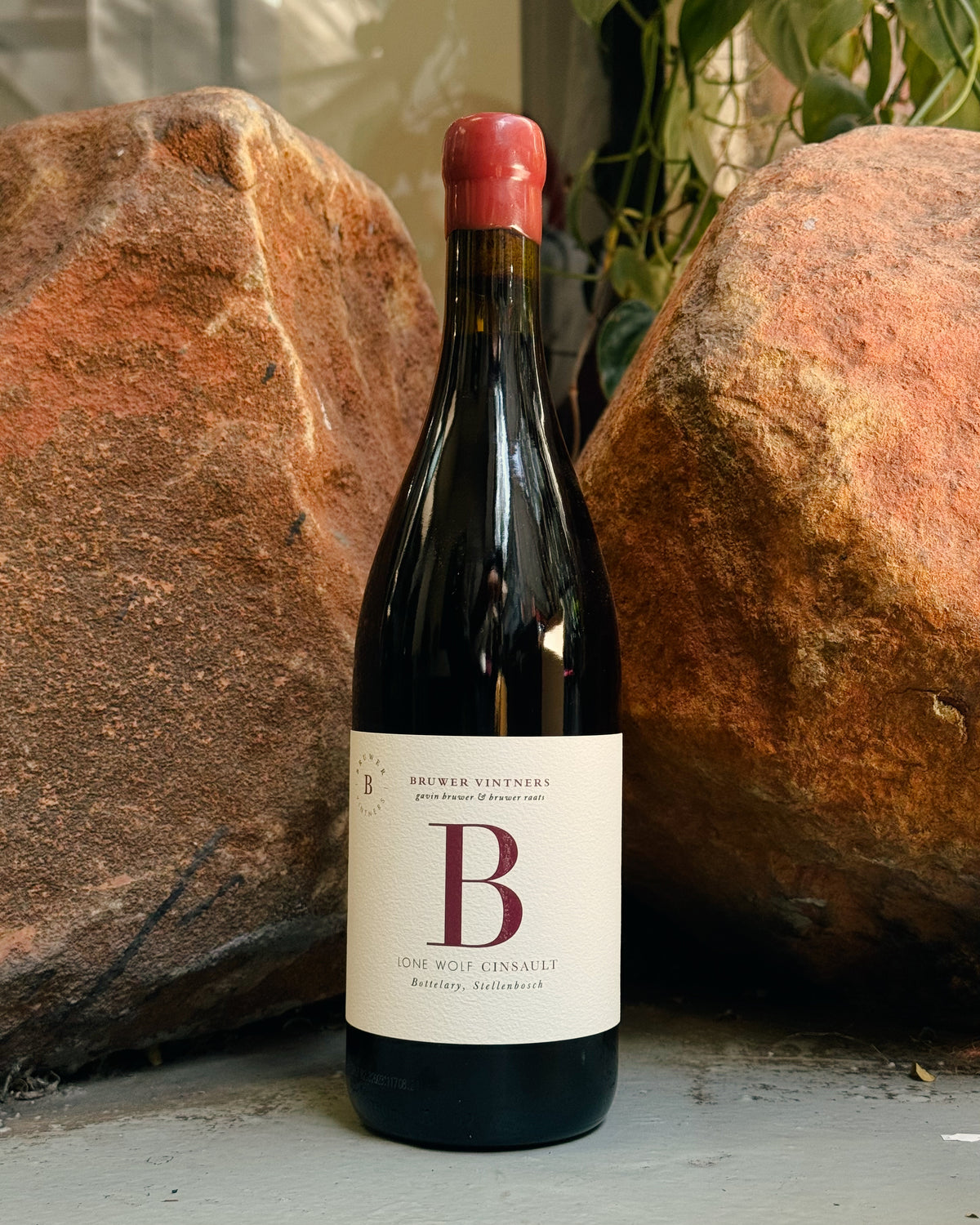 B Vintners Lone Wolf Cinsault 2024