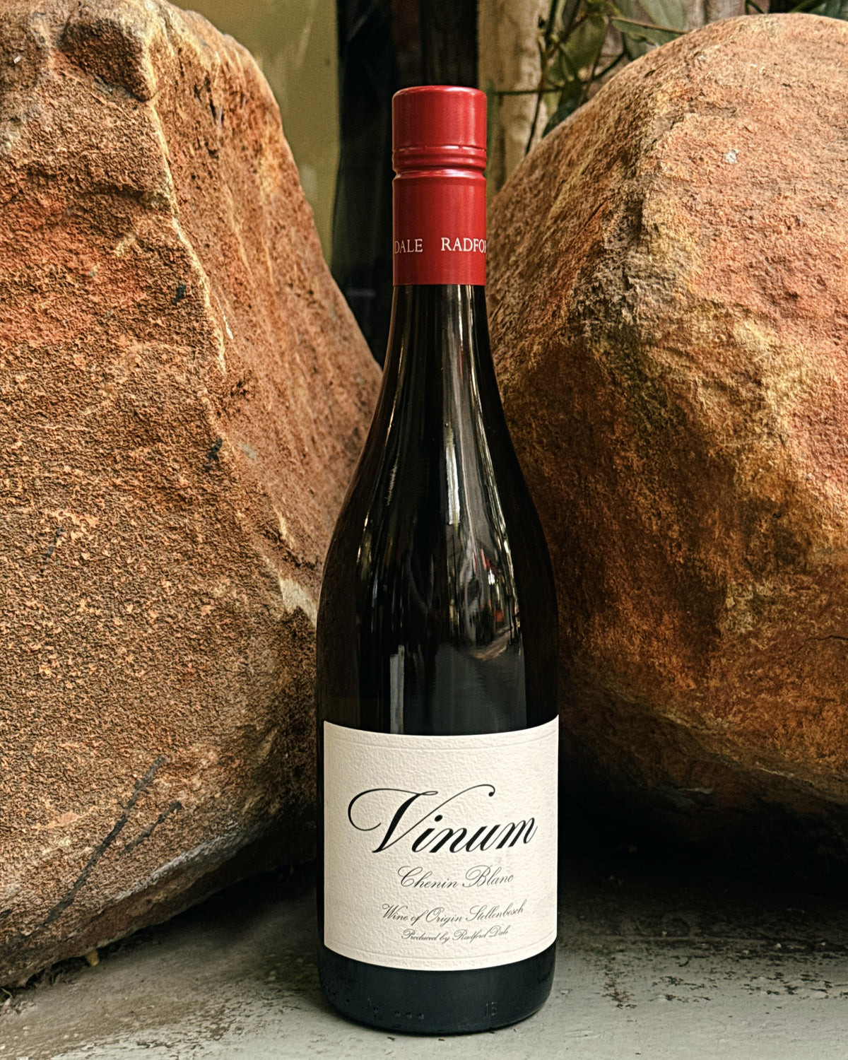 Radford Dale Vinum Chenin Blanc 2024