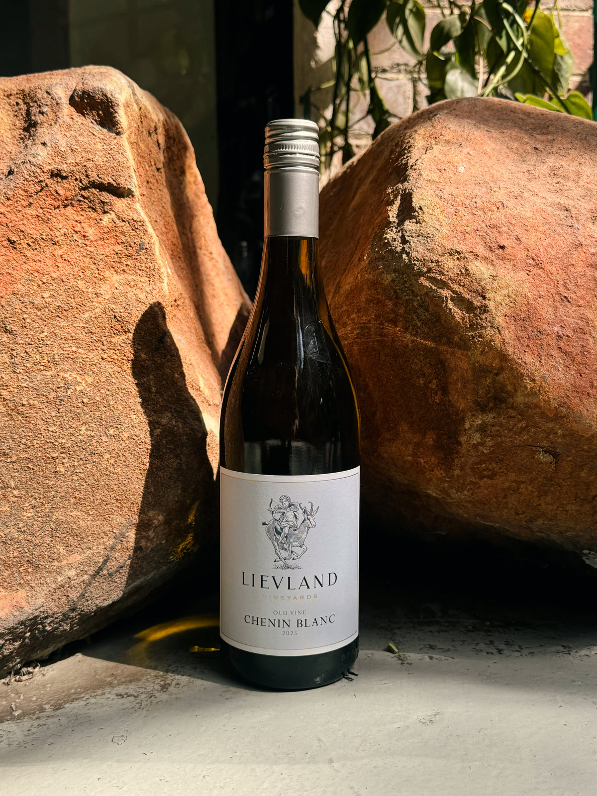 Lievland Old Vine Chenin Blanc 2025