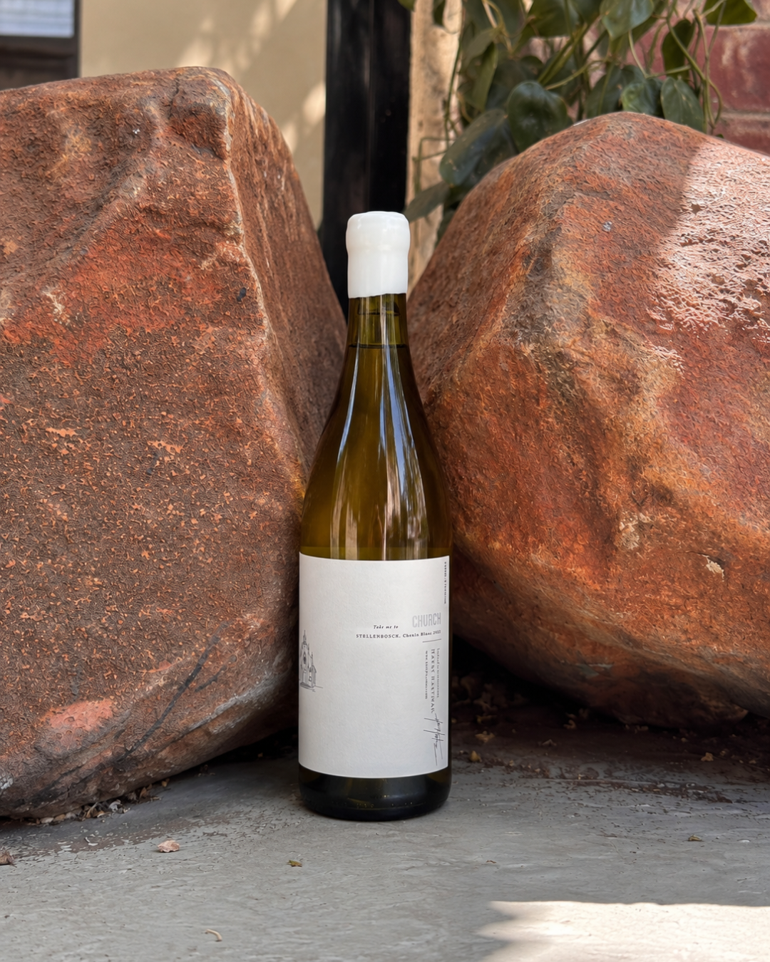 Harry Hartman Stellenbosch Chenin Blanc 2025